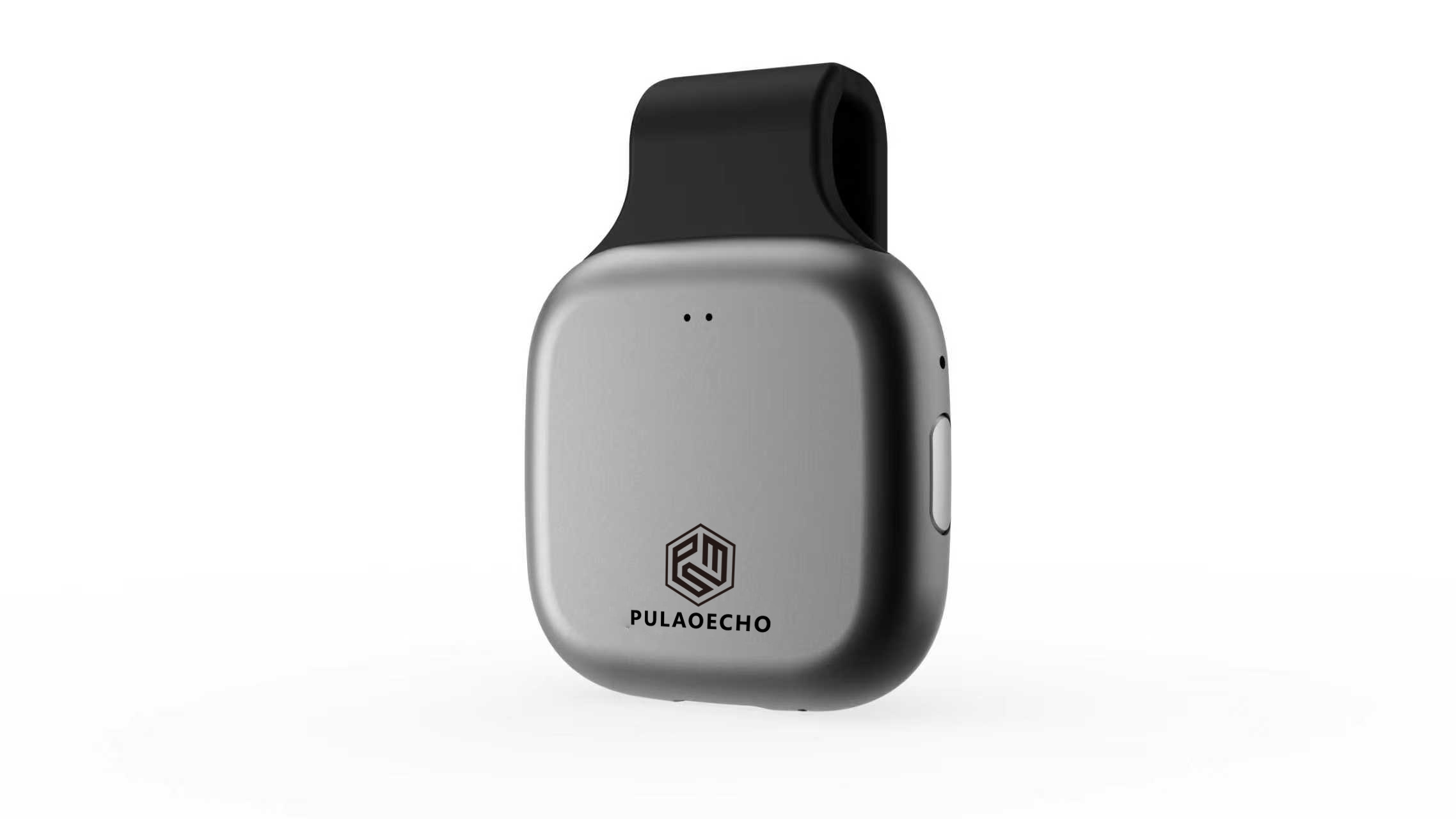 PulaoEcho W1
